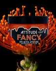 Attitude Hair Dye - tinta ecstatic per capelli , vegana, cruelty-free