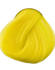 Tinta Bright daffodil