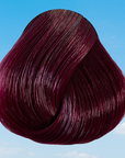 Tinta Dark Tulip 100 ML