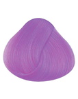 Tinta Lavander
