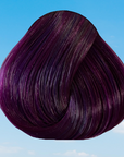 Tinta Plum 100 ML