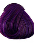 Tinta Plum