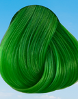 Tinta Spring Green 100 ML