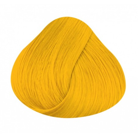 Tinta Sunflower