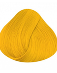 Tinta Sunflower
