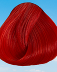 Tinta Tangerine 100 ML