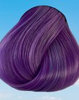 Tinta Wisteria 100 ML
