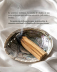 Vives de la Cortada S.L - Grande conchiglia di abalone