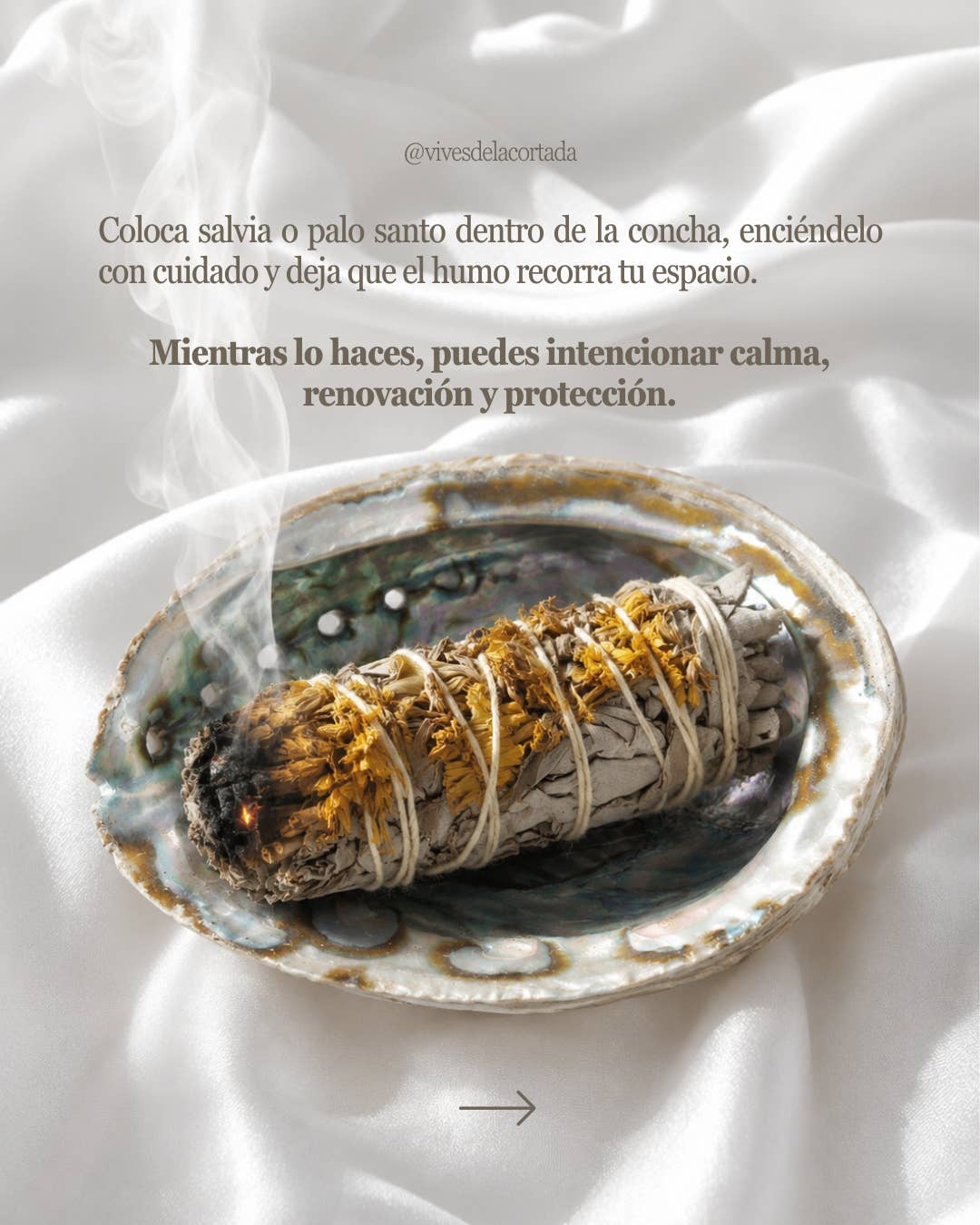 Vives de la Cortada S.L - Grande conchiglia di abalone