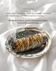 Vives de la Cortada S.L - Grande conchiglia di abalone