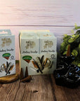Green Tree - Coni di riflusso Jumbo Native Soul - Smudge curativo