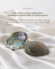 Vives de la Cortada S.L - Grande conchiglia di abalone