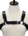 Harness Gladiator